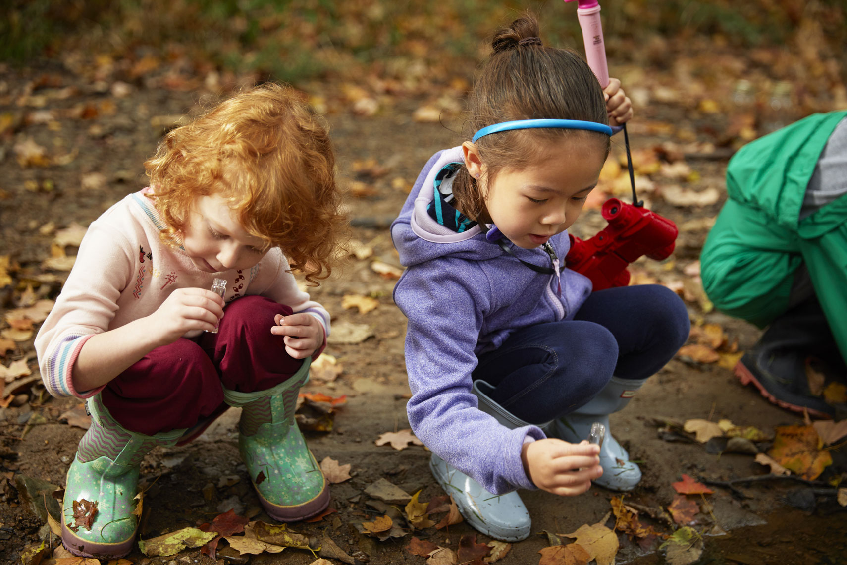 Children at forest school