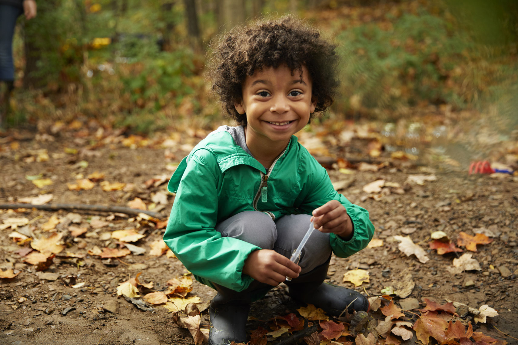 Little boy in forest school