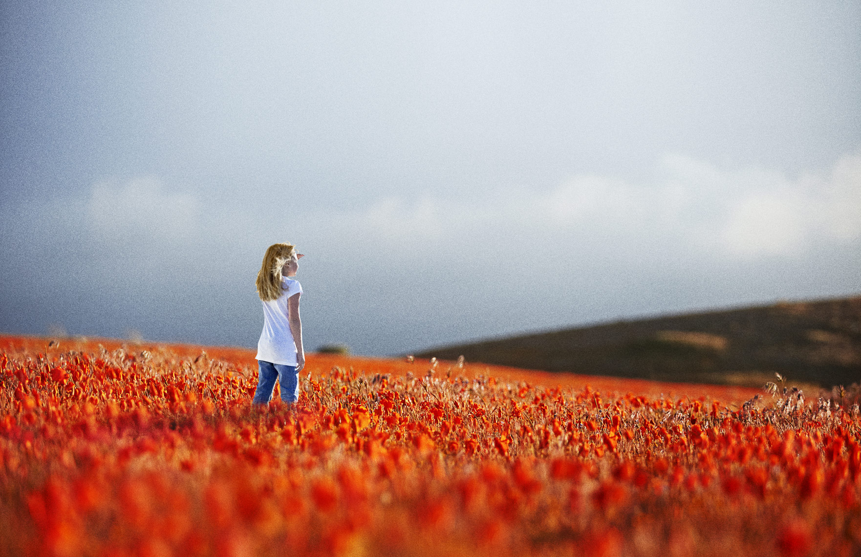Little girl standing in field of poppies Lancaster CA